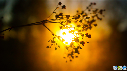 姑娘，我有15句悄悄話說給你聽。9