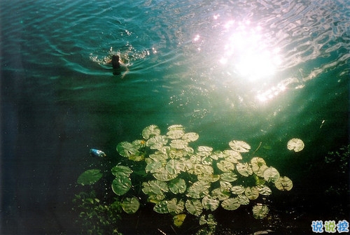 很經(jīng)典的個(gè)性說說大全關(guān)于夢(mèng)想和人生 2018精辟的一句話內(nèi)涵個(gè)性說說2