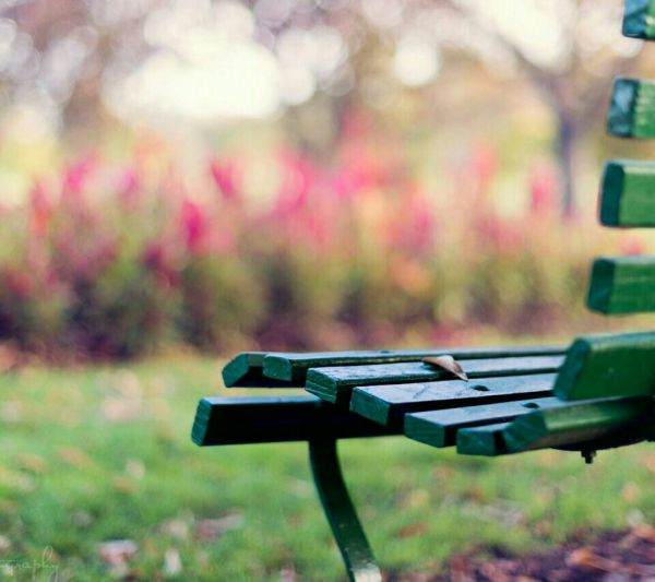 超唯美的經(jīng)典人生感悟說(shuō)說(shuō)帶圖片 都說(shuō)人生如戲12