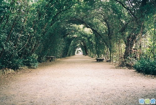 qq空間勵(lì)志說(shuō)說(shuō)帶圖片2019 00后都愛(ài)的勵(lì)志句子年輕人必備7