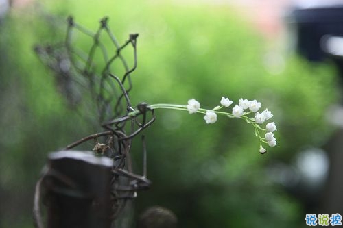 對愛一往情深的經典說說帶圖片 文藝愛情小短句表達愛意5