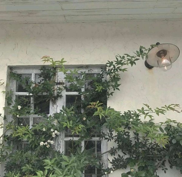 關(guān)于人生和夢(mèng)想的很現(xiàn)實(shí)的經(jīng)典哲理說說帶圖片13