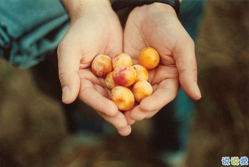 2018最新微信感恩節(jié)說說帶圖片大全 感恩節(jié)心情說說簡單好聽的7