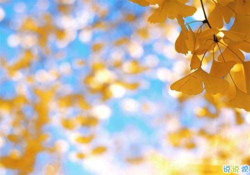 2019微信朋友圈經(jīng)典語錄 值得收藏和轉(zhuǎn)發(fā)的經(jīng)典說說1