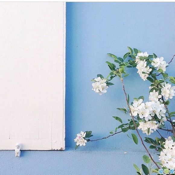 00后青春期暗戀一個(gè)人的甜蜜心情說(shuō)說(shuō)帶圖片9