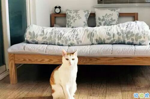 戀愛中的甜蜜溫暖小情緒說說帶圖片 跨越大半個(gè)地球與你相見12