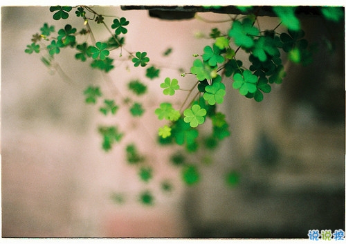 青春勵(lì)志經(jīng)典說說大全帶圖片 好聽又特別有哲理的一些話5