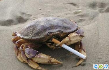 有意思的圖片加說說 適合發(fā)朋友圈的搞笑段子圖片13