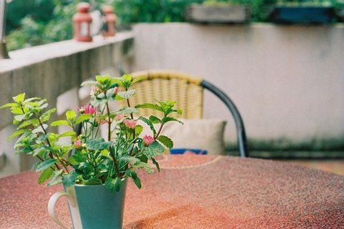 2019迎接四月經(jīng)典勵(lì)志說說 四月送給自己的勵(lì)志句子合集2