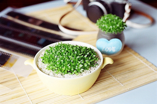 關(guān)于愛情的一些文藝清新小句子帶圖片 認(rèn)識(shí)你是我今年最大的收獲。12