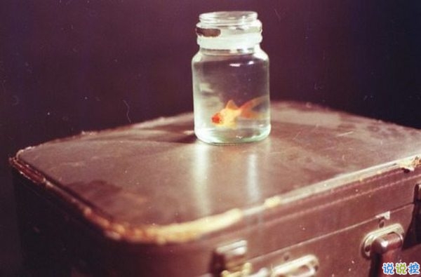 文字控喜歡的簡(jiǎn)單唯美的一句話說(shuō)說(shuō)帶圖片 煙塵滾滾一路行來(lái)我應(yīng)是迷了路了4