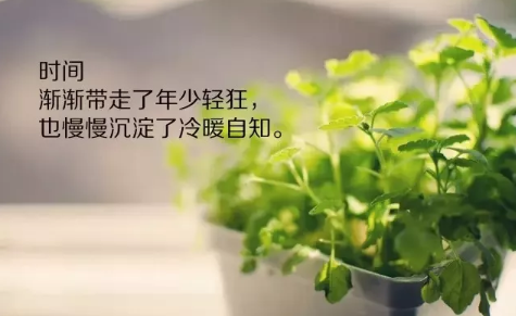 2018早安語錄正能量語句每天一句 微信早安語錄正能量滿滿2