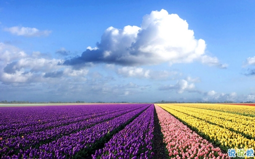 朋友圈個性說說簡單一句話 趁著年輕把能干的壞事干了吧2