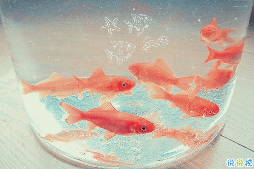 告別2018迎接2019的個(gè)性說說大全 2019最新充滿希望的勵(lì)志說說1