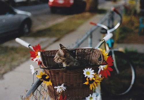 浪漫甜蜜的句子帶圖片 我雖是不完美的平凡人可卻如此愛你6