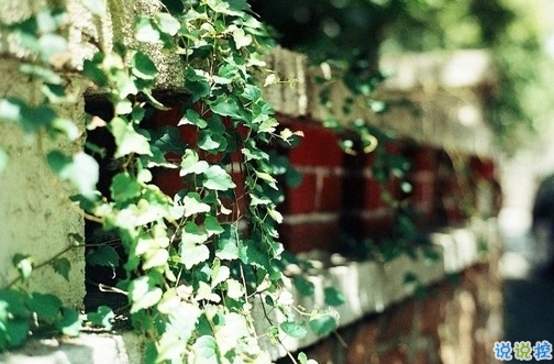 抖音上最搞笑的有趣的句子帶圖片 能讓你笑掉牙的搞笑說說合集9