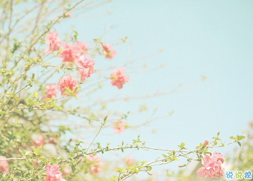 2019年抖音個(gè)性說說大全 非常有意思的個(gè)性說說帶圖片2