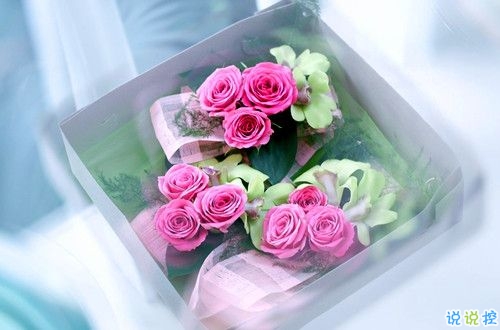 2019關于春分的微信說說帶圖片 春分節(jié)氣早安祝福語9