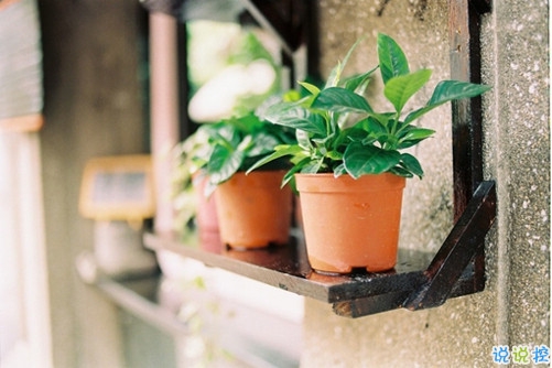 2019富有哲理的說說句子合集 看清了一些人和事的說說很經(jīng)典3