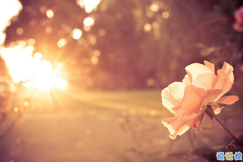 2019關于春分的微信說說帶圖片 春分節(jié)氣早安祝福語4