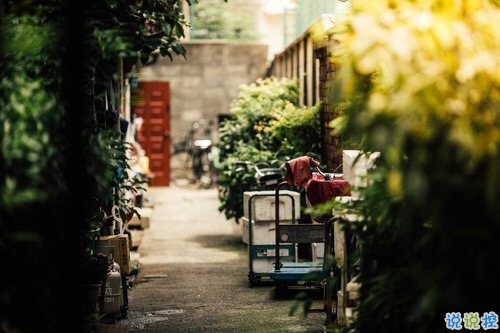 感情挫敗的傷心說說 一段傷心的感情說說2