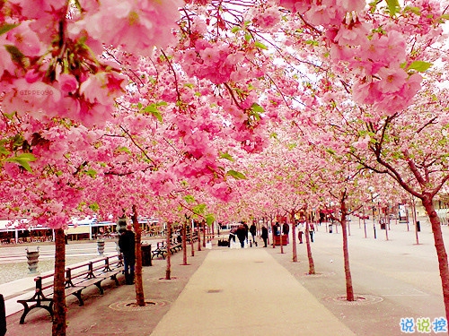 2019富有哲理的說說句子合集 看清了一些人和事的說說很經(jīng)典11