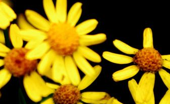 在夢(mèng)里也會(huì)潸然淚下的說說帶圖 如果時(shí)光倒流峩捫能抓得住什么2