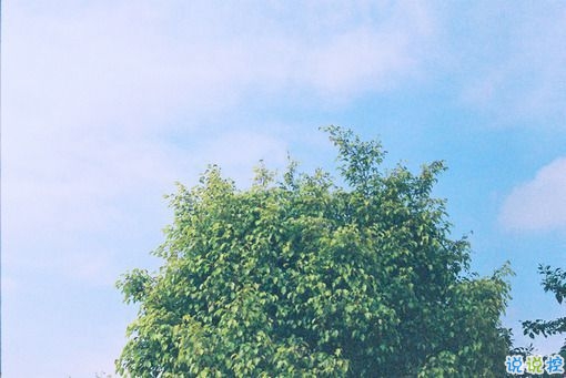 有點(diǎn)傷感的愛情說說帶圖片 失去一個(gè)人后是什么感覺 11