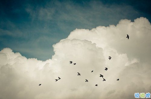 痛到心碎的傷感說說配圖 生活很現(xiàn)實的傷感說說14