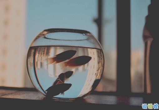 很深情很撩人的情話帶圖片 融化人心的小可愛女生說說11