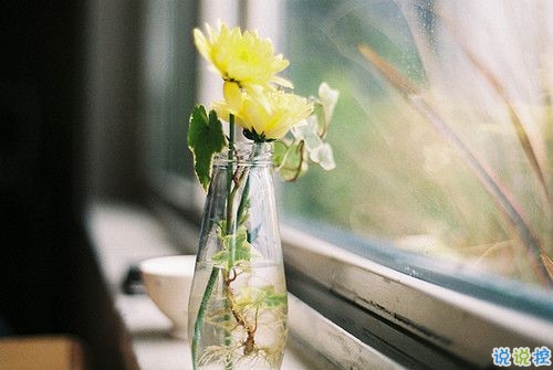 2019晚安心語心情說說大全 每天睡前一句晚安說說致所有人2