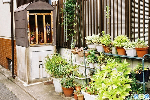 分手后的心酸難過傷感說說 關于愛情我們誰都沒有錯6