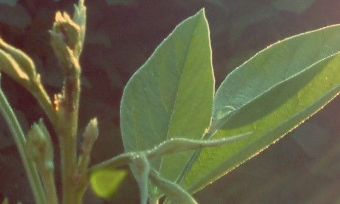 在夢(mèng)里也會(huì)潸然淚下的說說帶圖 如果時(shí)光倒流峩捫能抓得住什么13