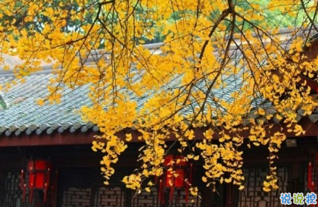 今日立秋圖片說說2018最新版 立秋的經(jīng)典說說帶圖片精選10