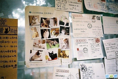 經(jīng)典唯美文藝小清新說說帶圖片 這人世間本就是寒來暑往日出日落4