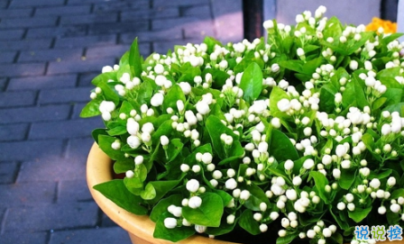 表示無聊的朋友圈說說帶圖片：無聊，是人生的一種正?，F(xiàn)象14