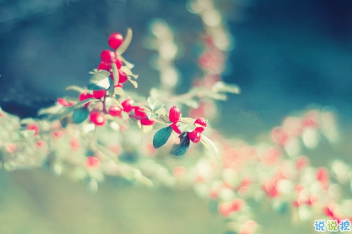 向女朋友求婚的話真實(shí)浪漫點(diǎn) 2019求婚句子大全簡單帶圖片4