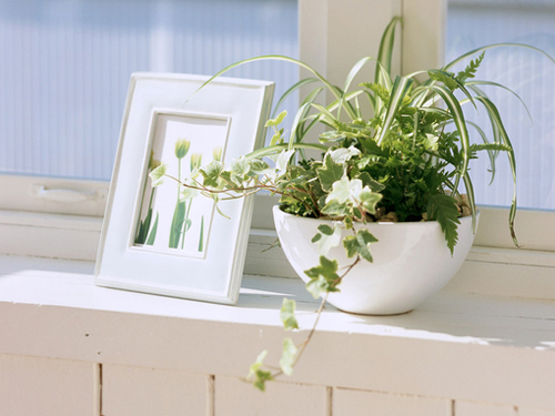 唯美詩意的說說帶圖片 我飲盡漁火明月秋色無邊4