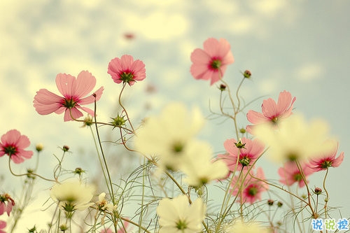 超暖心的朋友圈勵(lì)志說(shuō)說(shuō)帶圖片 致所有人的勵(lì)志說(shuō)說(shuō)值得收藏8