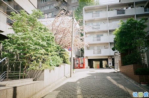 2019微信朋友圈勵志晚安心語帶圖片 早安晚安勿忘心安1