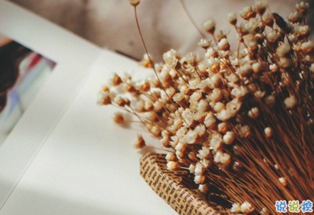 余生還是不要你指教了，我自己過吧6