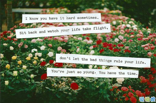 提起愛情就想哭的傷感說說 關(guān)于感情的傷感愛情說說2