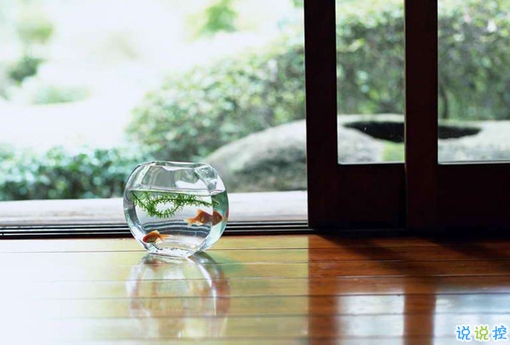 很真實(shí)的愛情感悟帶圖片 深有感觸的經(jīng)典愛情說說配圖12