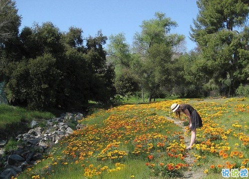 安妮寶貝作品集經(jīng)典語錄摘抄 美文優(yōu)美唯美的語錄大全安妮寶貝1