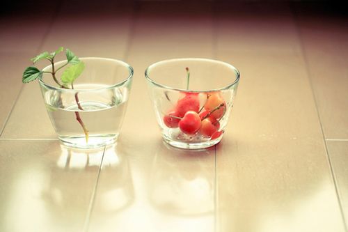 關于人生生活還有成長的有哲理內涵精辟的說說帶圖片15