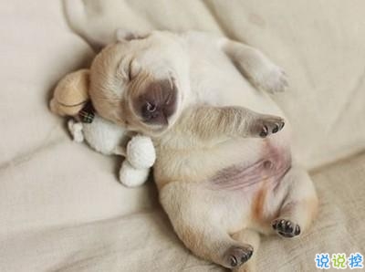 學生黨有趣圖片帶搞笑個性說說 你體驗過暴瘦的滋味嗎9