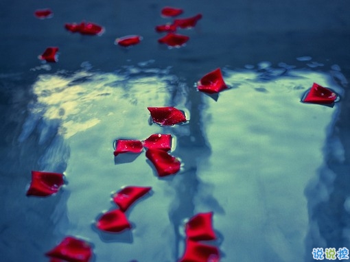 放不下一個(gè)人的說說內(nèi)心難受 心里住著一個(gè)不可能的人說說1