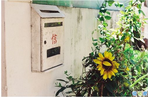 有點(diǎn)傷感的愛情說說帶圖片 失去一個(gè)人后是什么感覺 12