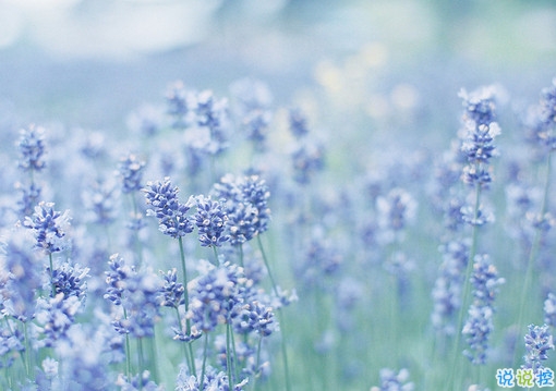 2019最新文藝又悲傷句子說說 有意境文藝范的傷感句子2