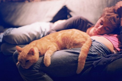 關(guān)于人生成長(zhǎng)之路上的經(jīng)典說(shuō)說(shuō)帶圖片 夢(mèng)便是夢(mèng)終有結(jié)束醒來(lái)的一天2